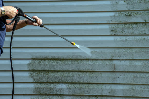 Trusted Clinton, PA Pressure Washing Services Experts